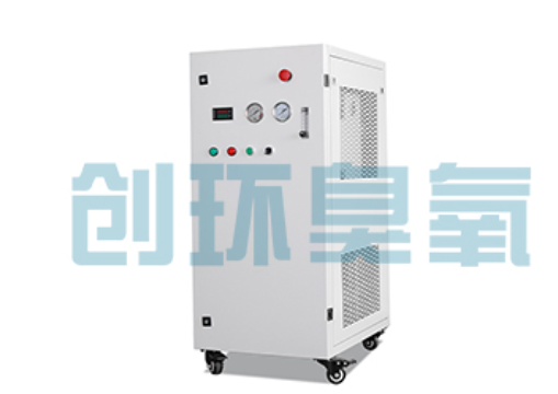 南昌石斑鱼养殖水质调控完整指南：臭氧发生器配置与操作步骤