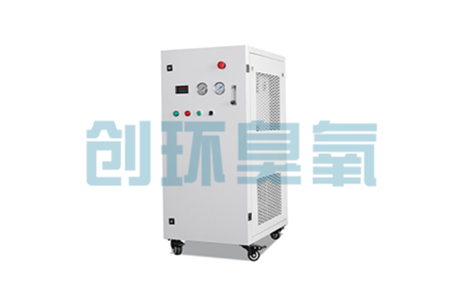 南昌比传统换水更高效？臭氧发生器在石斑鱼养殖中的水质净化原理解析