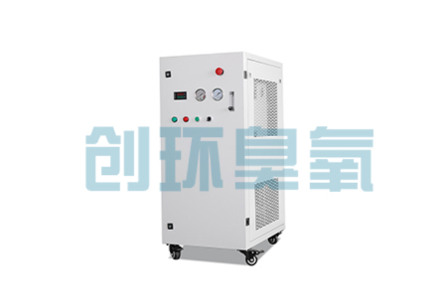 南昌比传统换水更高效？臭氧发生器在石斑鱼养殖中的水质净化原理解析